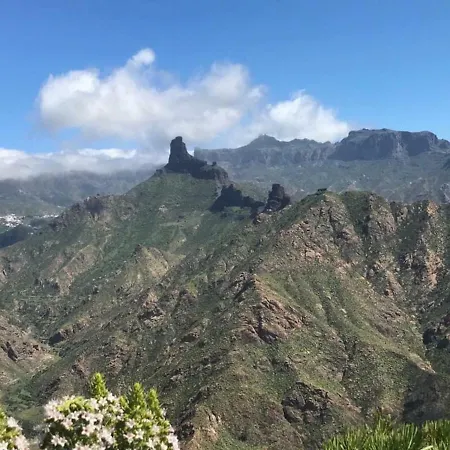 Estrella Del Noroeste Sardina