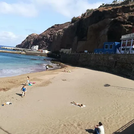 Estrella Del Noroeste Sardina